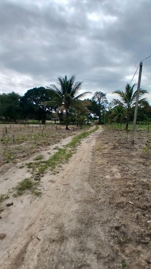 Fazenda à venda com 2 quartos, 31000m² - Foto 4