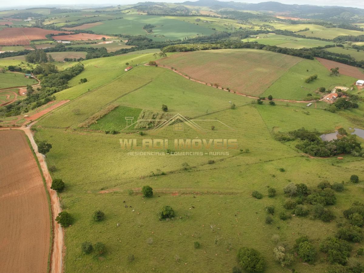 Fazenda à venda, 8m² - Foto 11