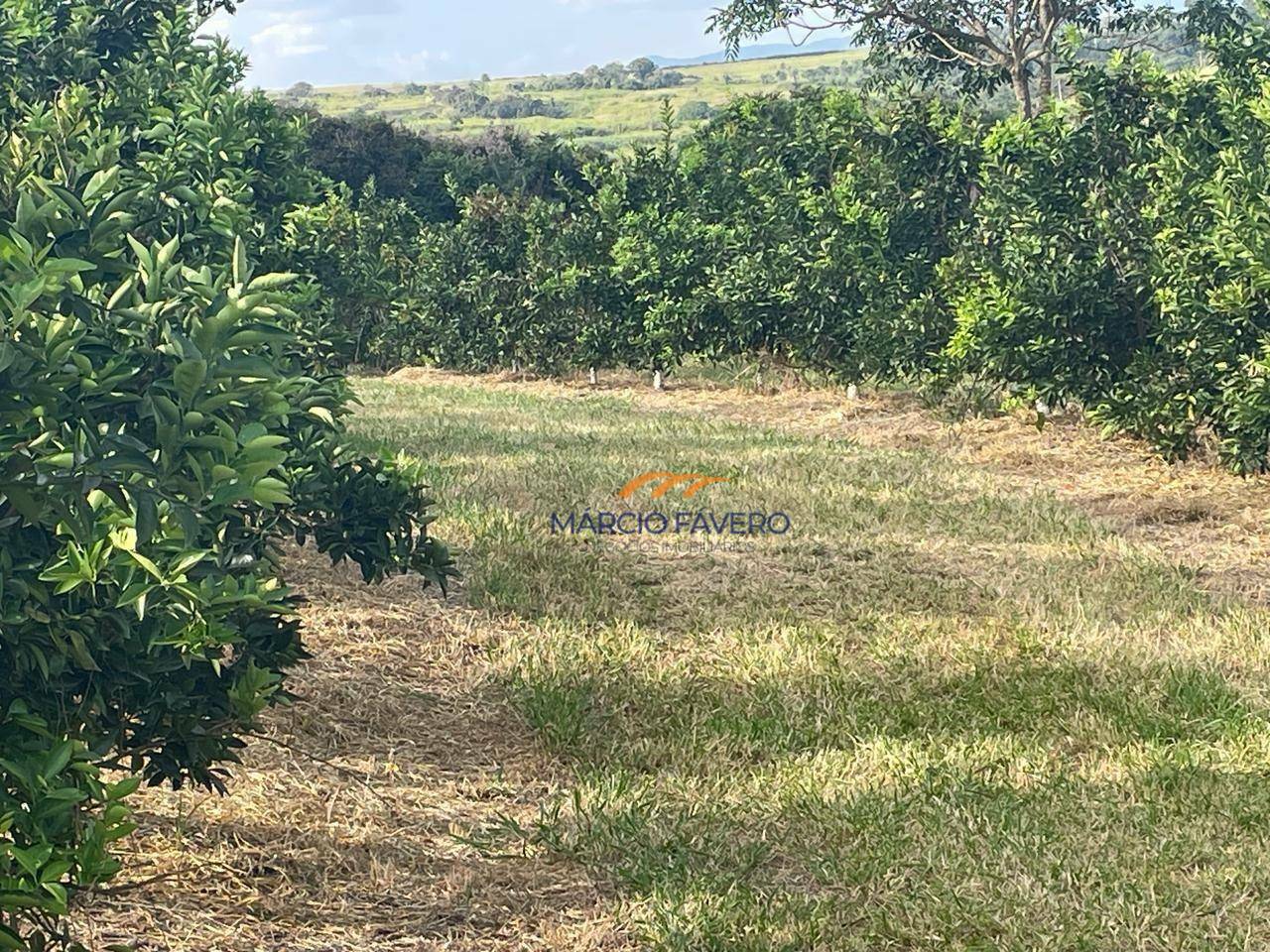 Fazenda à venda, 2274800M2 - Foto 11