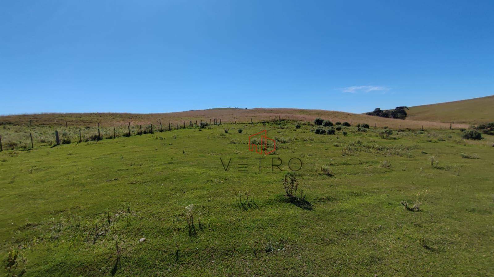 Sítio à venda com 3 quartos, 37000M2 - Foto 16