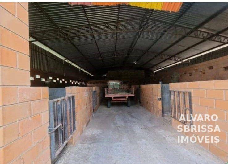 Haras e Área Rural Padrão à venda com 3 quartos, 798600M2 - Foto 8