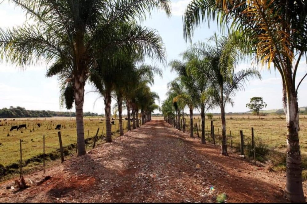 Fazenda à venda, 50m² - Foto 8