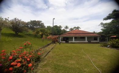 Sítio à venda com 5 quartos, 70000m² - Foto 6