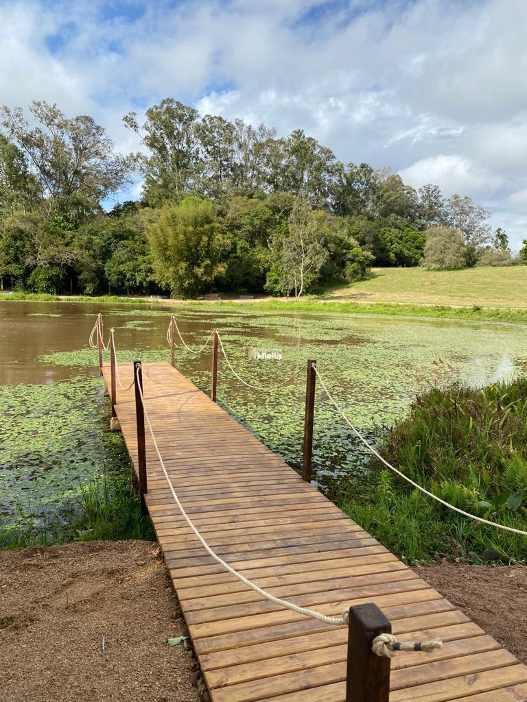 Terreno à venda, 1000m² - Foto 3