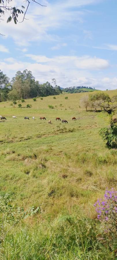 Fazenda à venda, 299m² - Foto 21