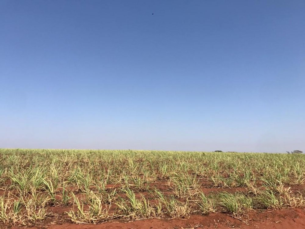 Fazenda, 373 hectares - Foto 1