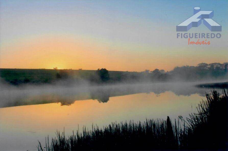 Sítio, 4 hectares - Foto 32