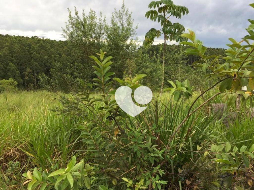 Loteamento e Condomínio à venda, 3200M2 - Foto 6