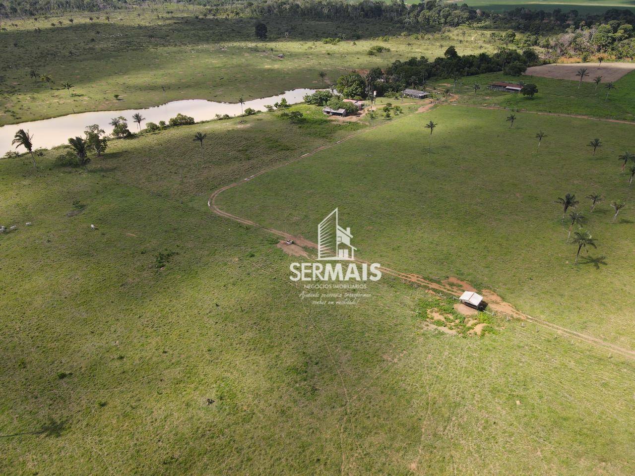 Fazenda-Sítio-Chácara, 256 hectares - Foto 3