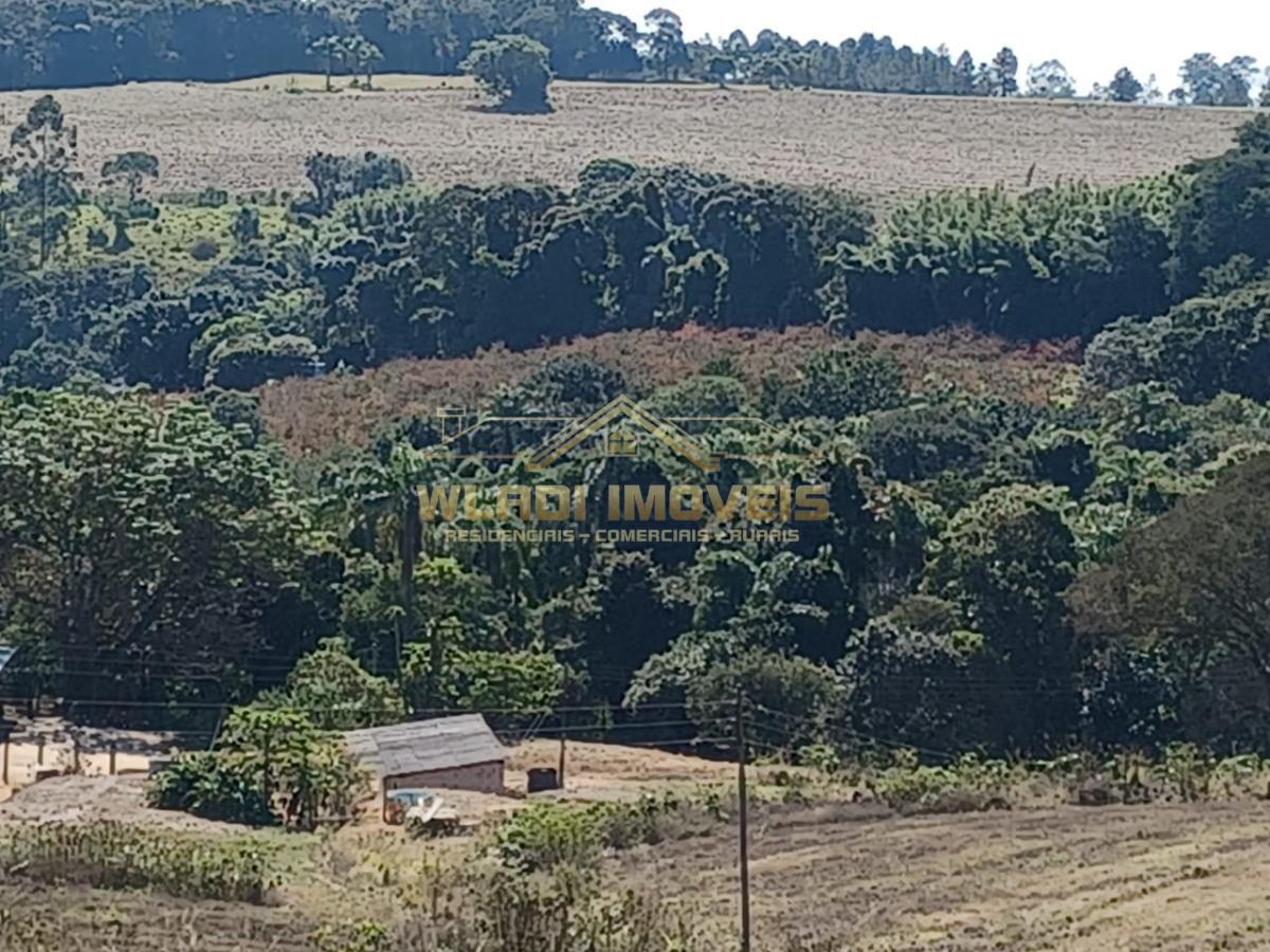 Fazenda à venda, 145200m² - Foto 6