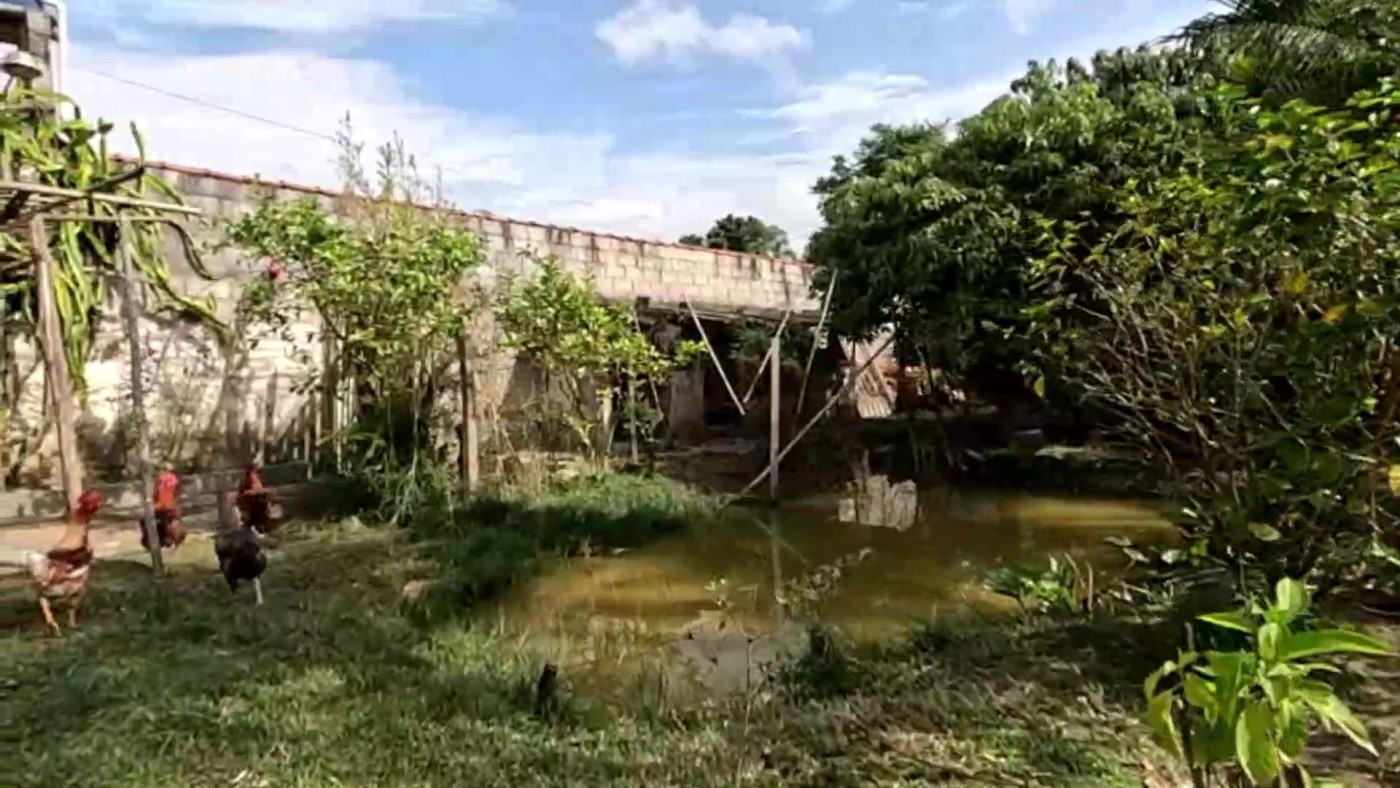 Chácara à venda com 3 quartos, 1500m² - Foto 24