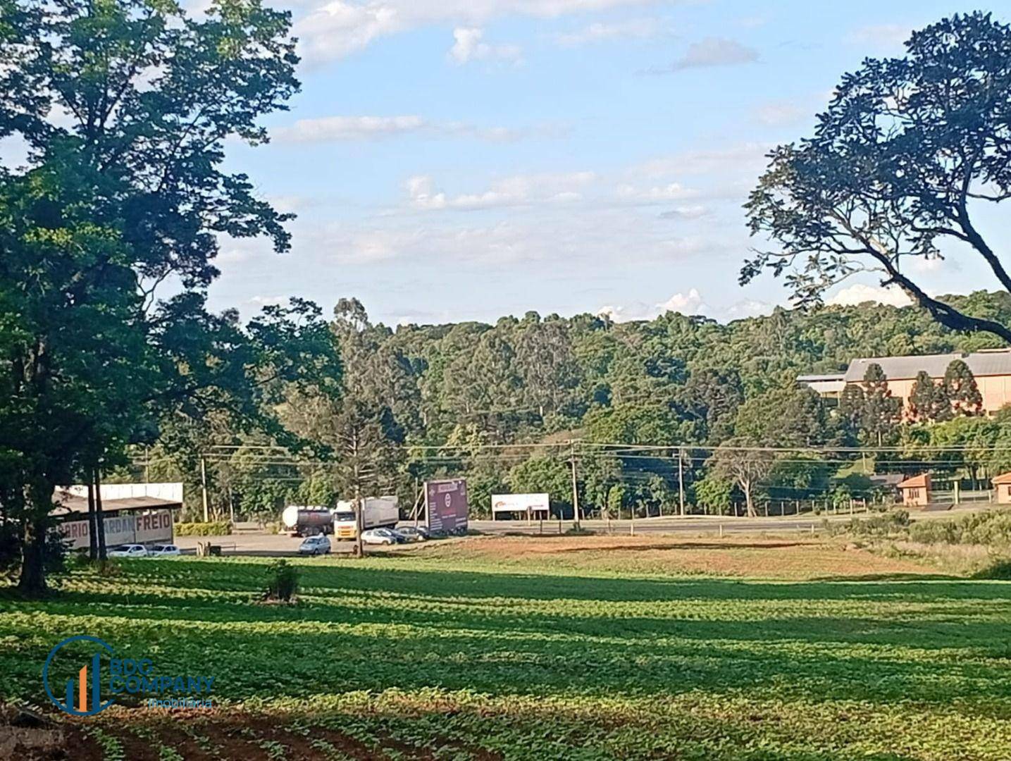 Chácara, 2 quartos, 5445 m² - Foto 3