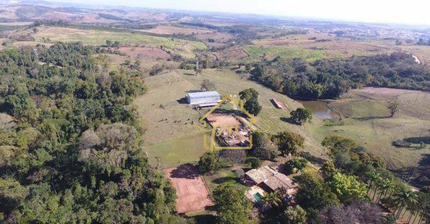 Fazenda à venda com 3 quartos, 1000m² - Foto 8