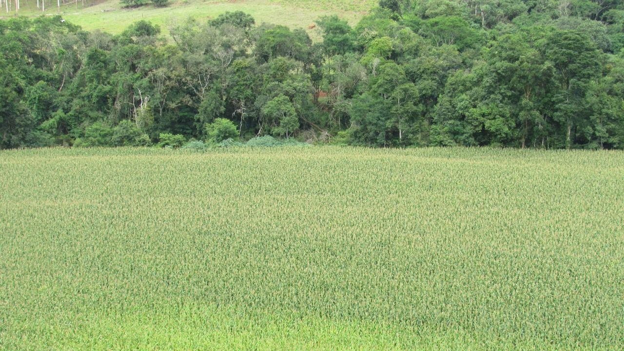 Loteamento e Condomínio à venda, 180000m² - Foto 26