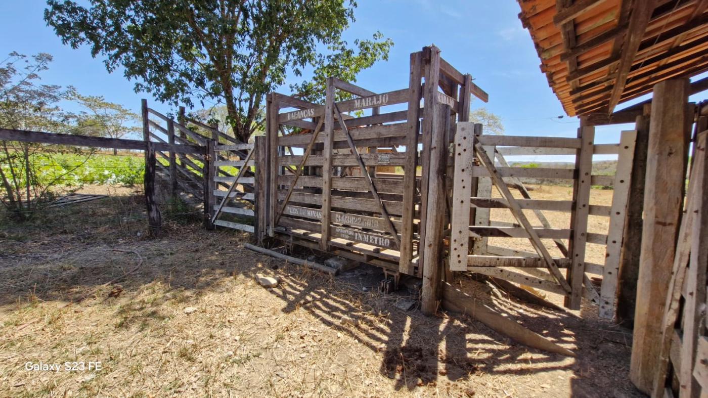 Fazenda à venda com 4 quartos, 1180000m² - Foto 28