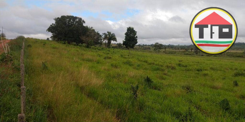 Fazenda-Sítio-Chácara, 145 hectares - Foto 1
