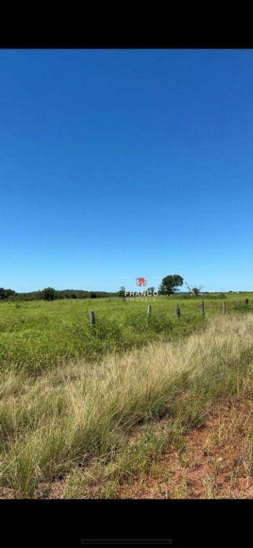 Fazenda-Sítio-Chácara, 5377 hectares - Foto 4