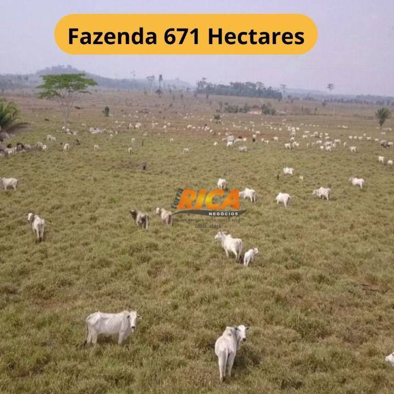 Fazenda-Sítio-Chácara, 671 hectares - Foto 1