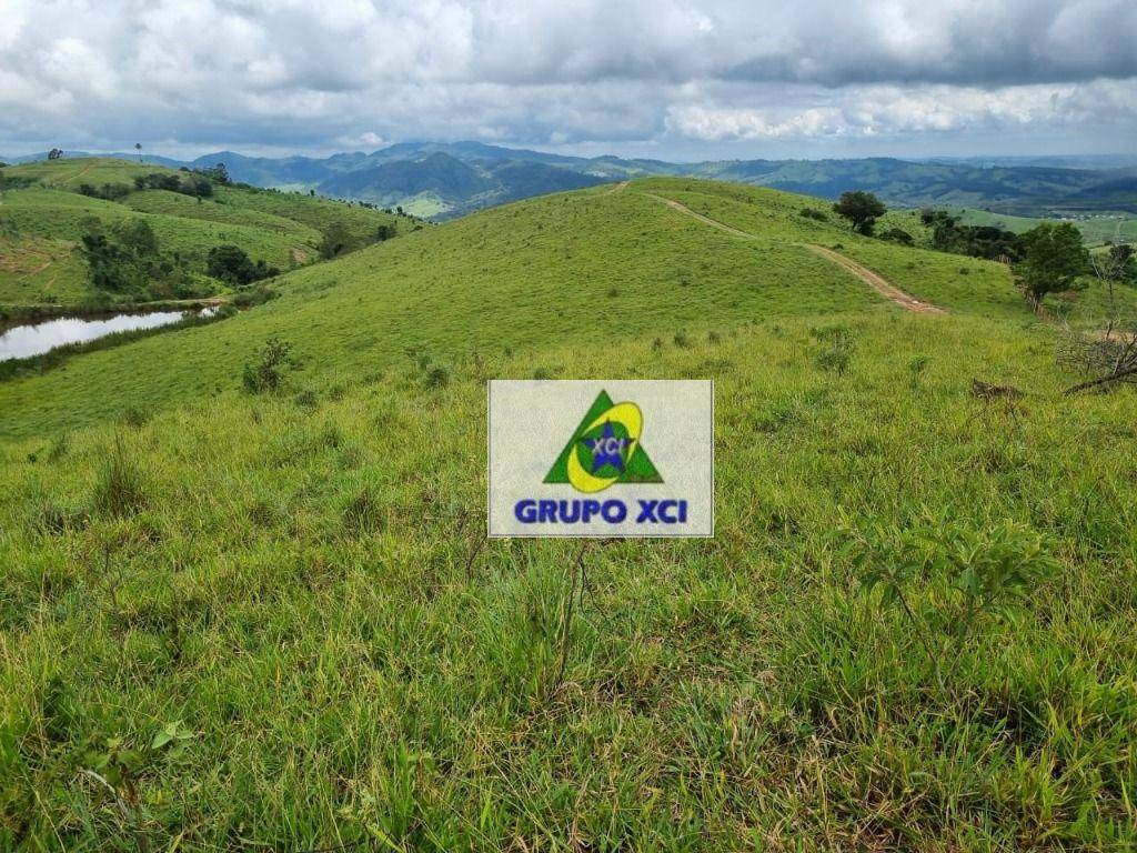 Fazenda-Sítio-Chácara, 250 hectares - Foto 40