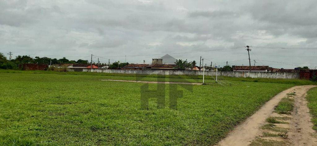 Terreno, 5 hectares - Foto 4