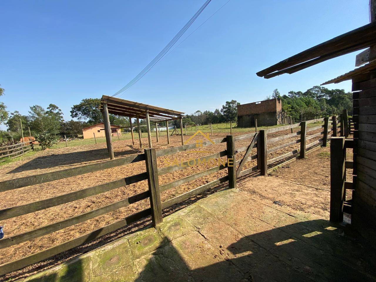 Sítio, 4 quartos, 5000 m² - Foto 5