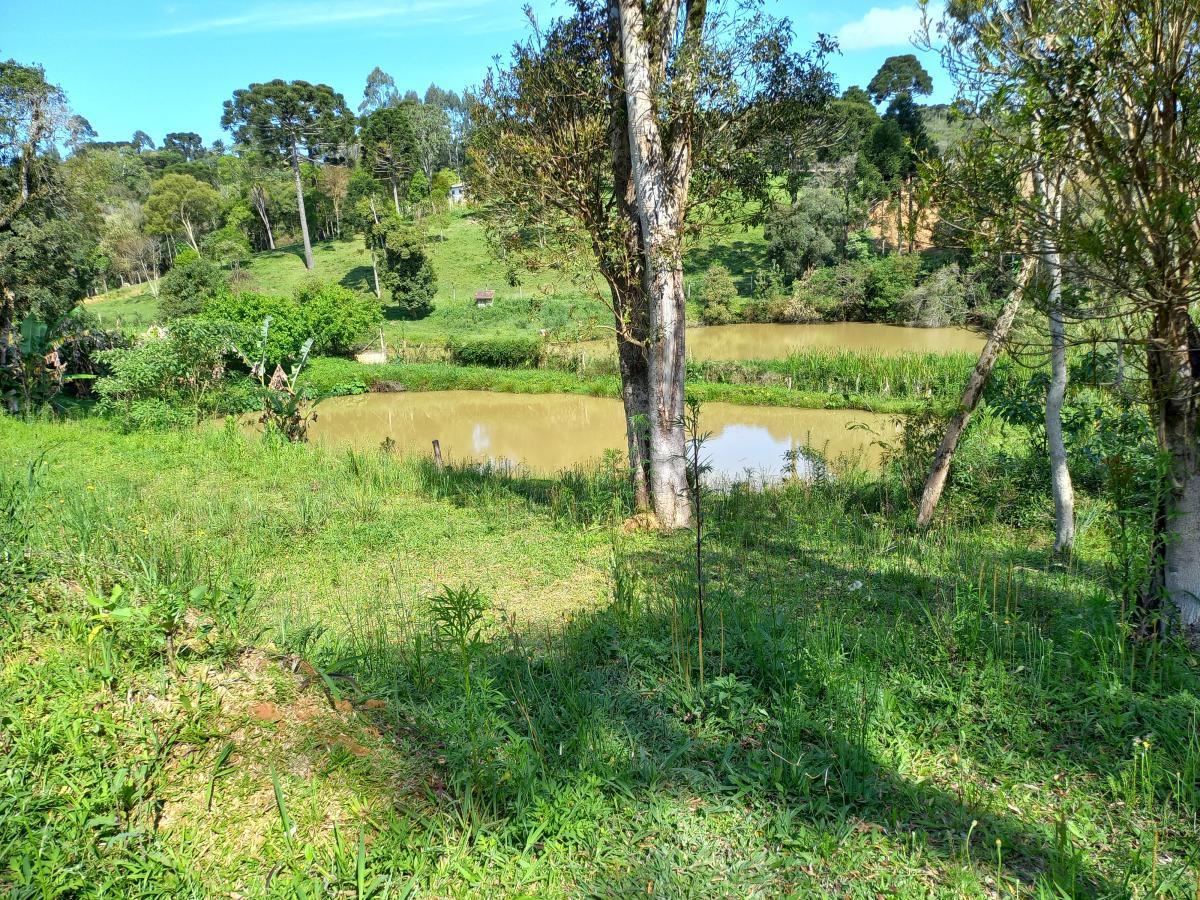 Fazenda à venda, 9075m² - Foto 18