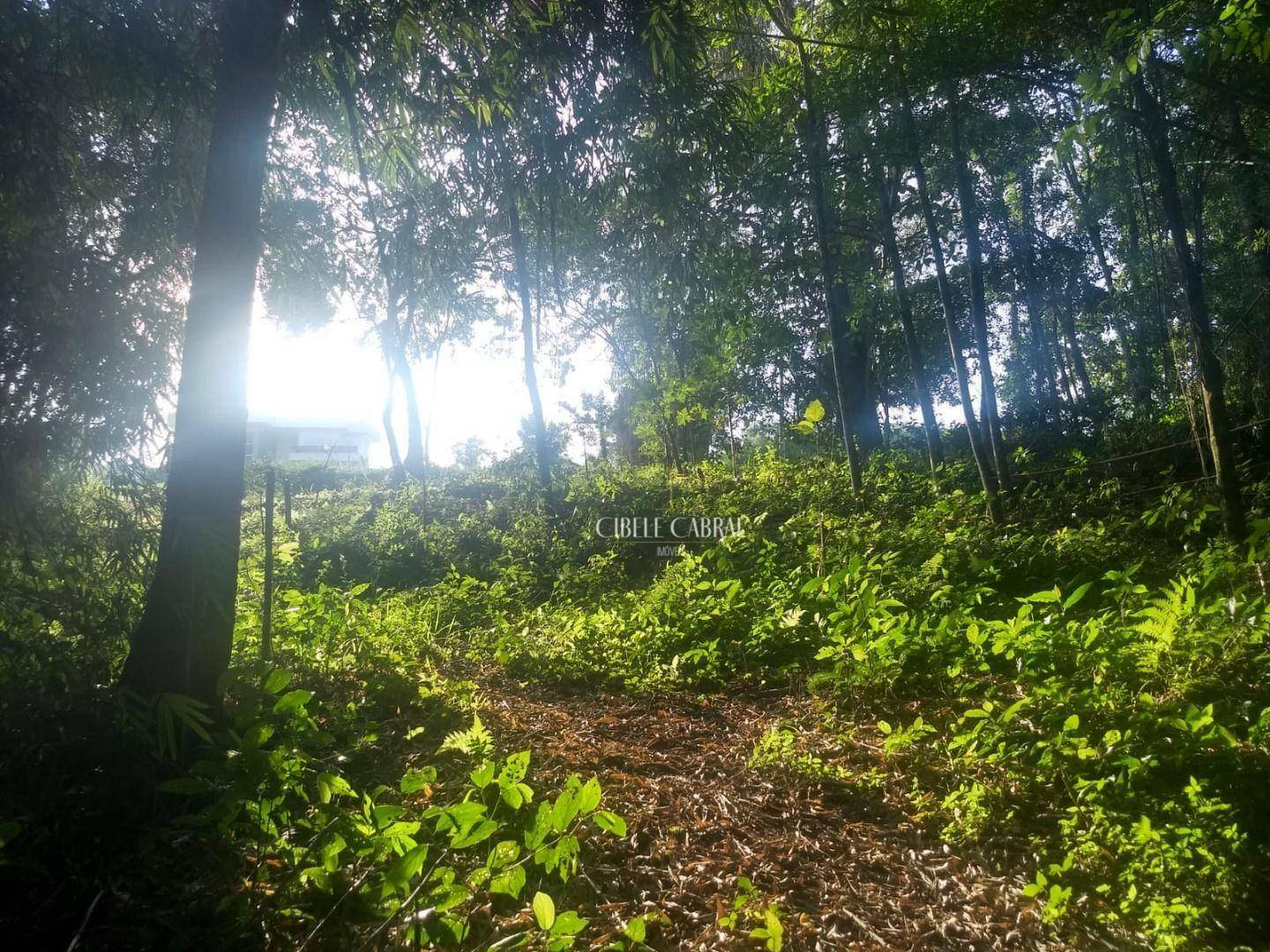 Loteamento e Condomínio à venda, 810M2 - Foto 6