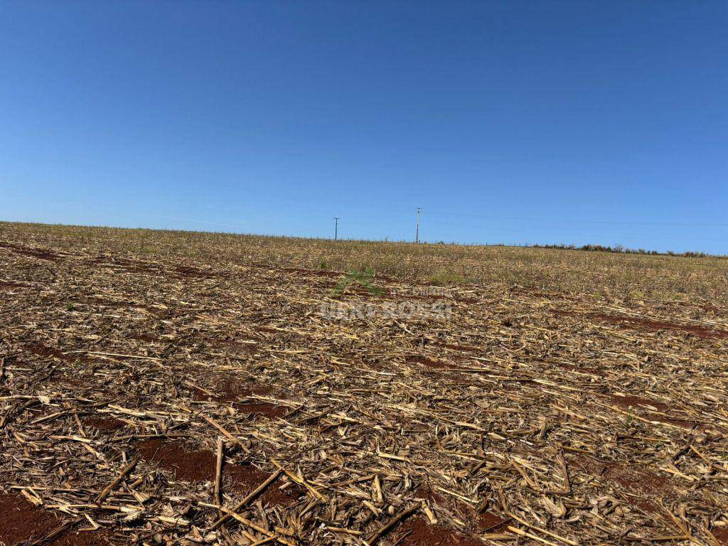 Fazenda, 232 hectares - Foto 18