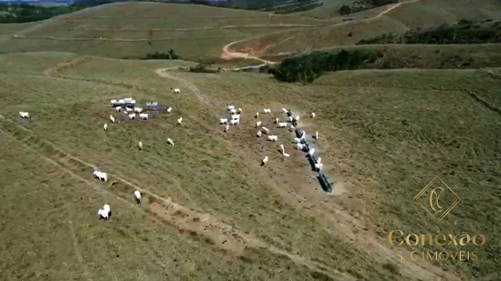 Fazenda, 257 hectares - Foto 20