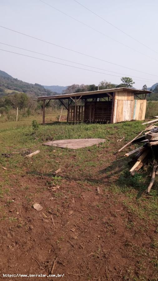 Fazenda à venda com 3 quartos, 1m² - Foto 3