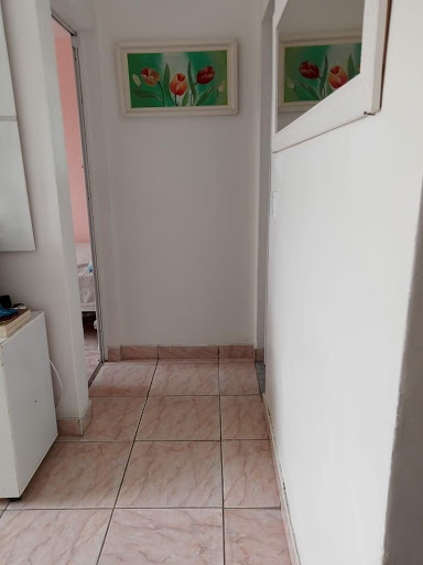 Apartamento à venda com 1 quarto, 55m² - Foto 4