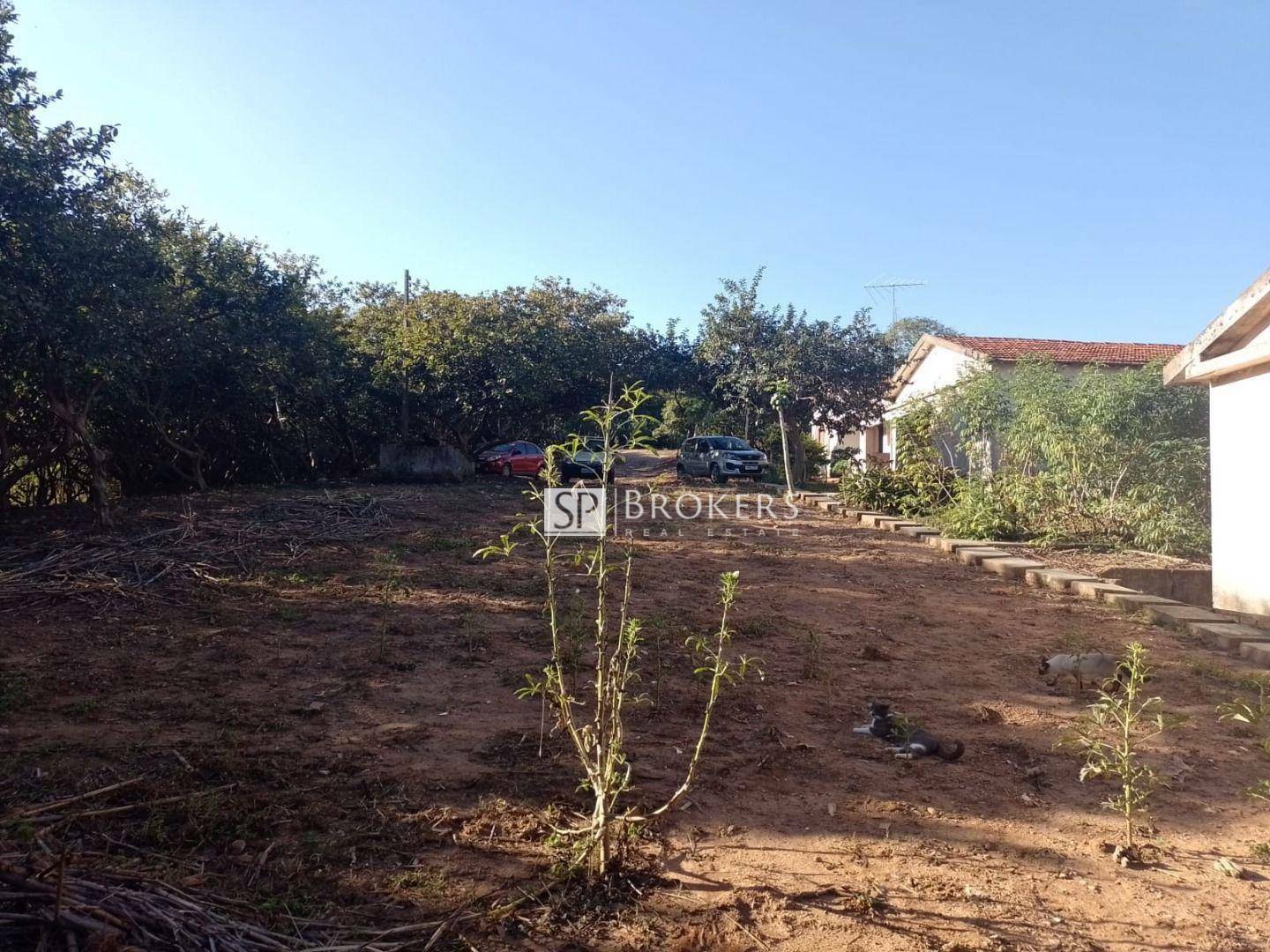 Terreno à venda, 26200M2 - Foto 3