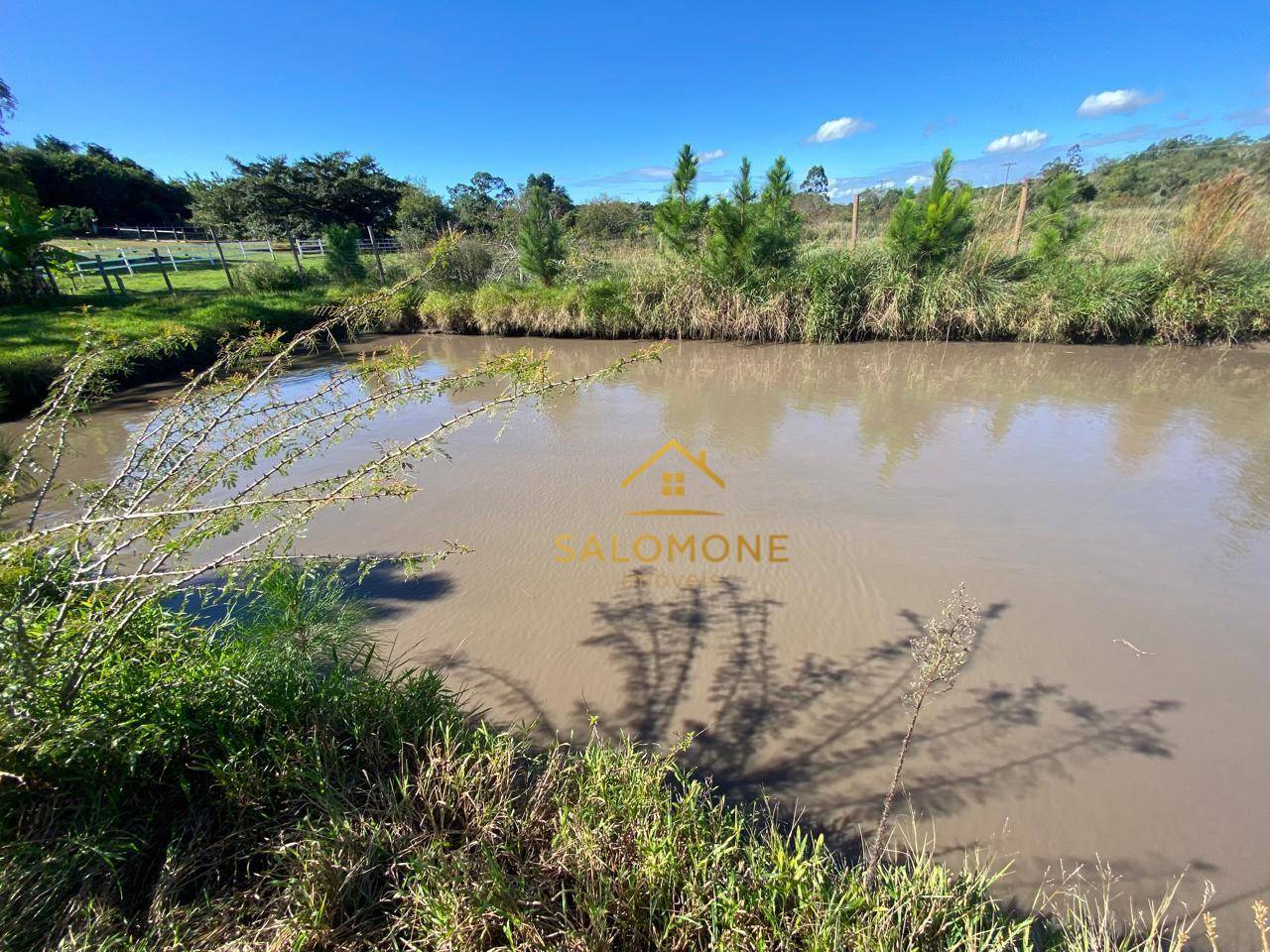 Sítio, 2 quartos, 10000 m² - Foto 3