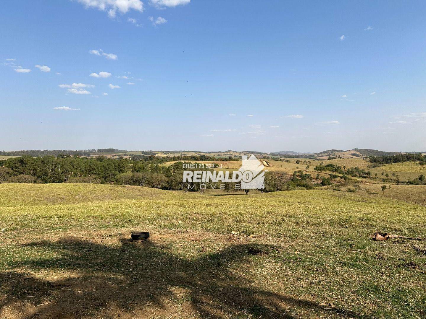 Haras e Área Rural Padrão à venda com 8 quartos, 5000m² - Foto 93