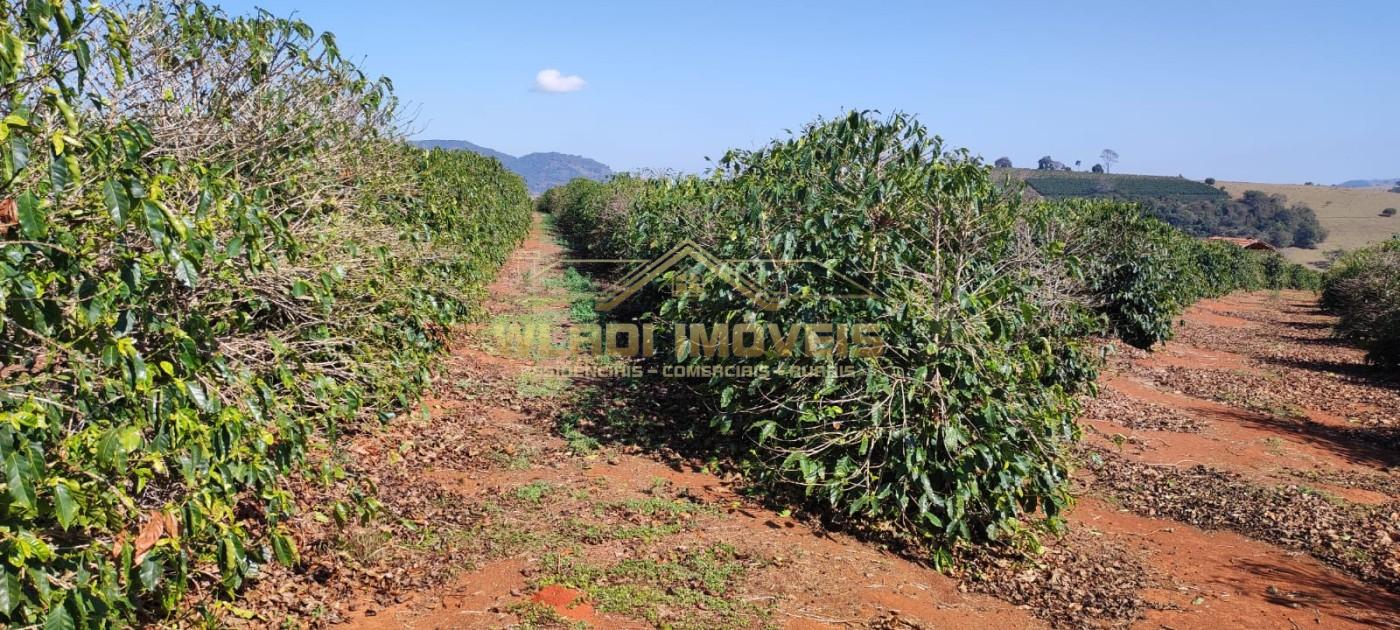 Sítio, 10 m² - Foto 5