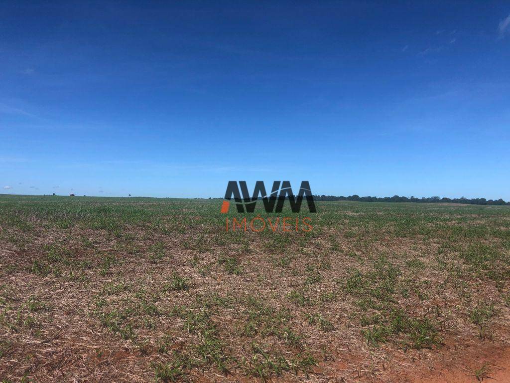 Fazenda à venda, 87120000M2 - Foto 37