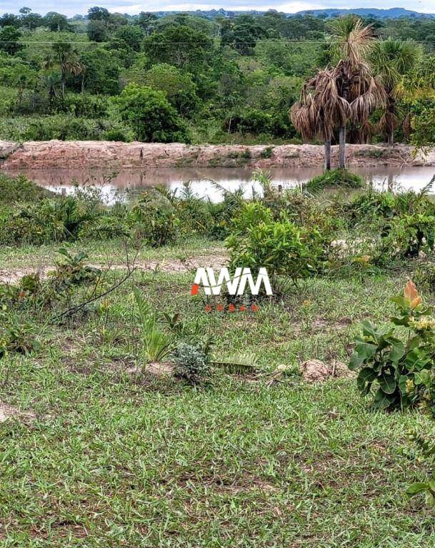 Fazenda, 813 hectares - Foto 4