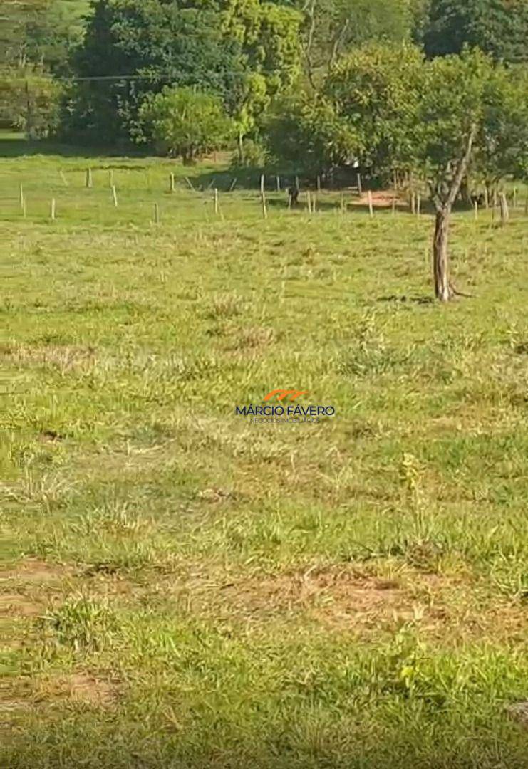 Fazenda, 307 hectares - Foto 10