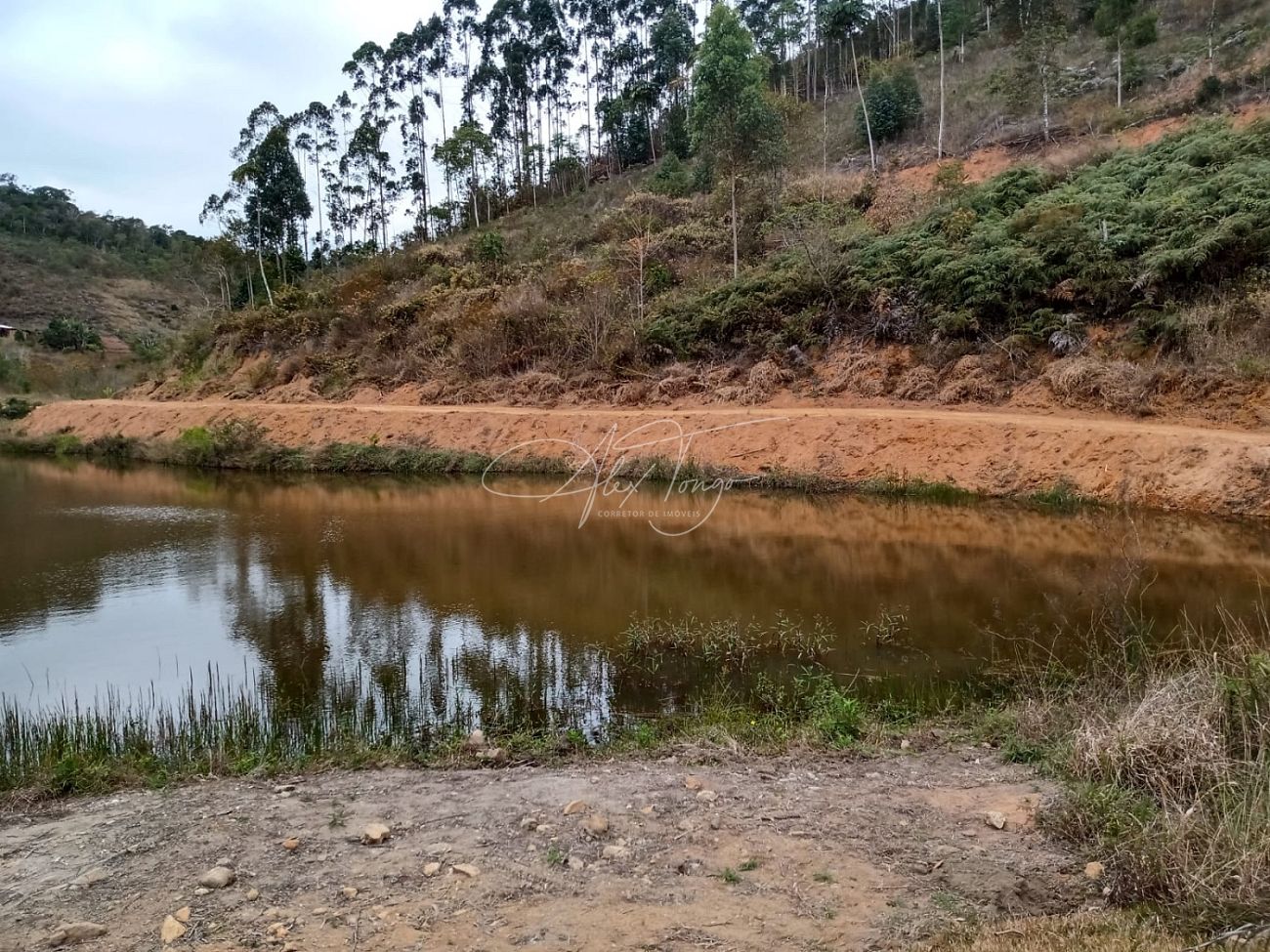 Fazenda à venda, 3000m² - Foto 14