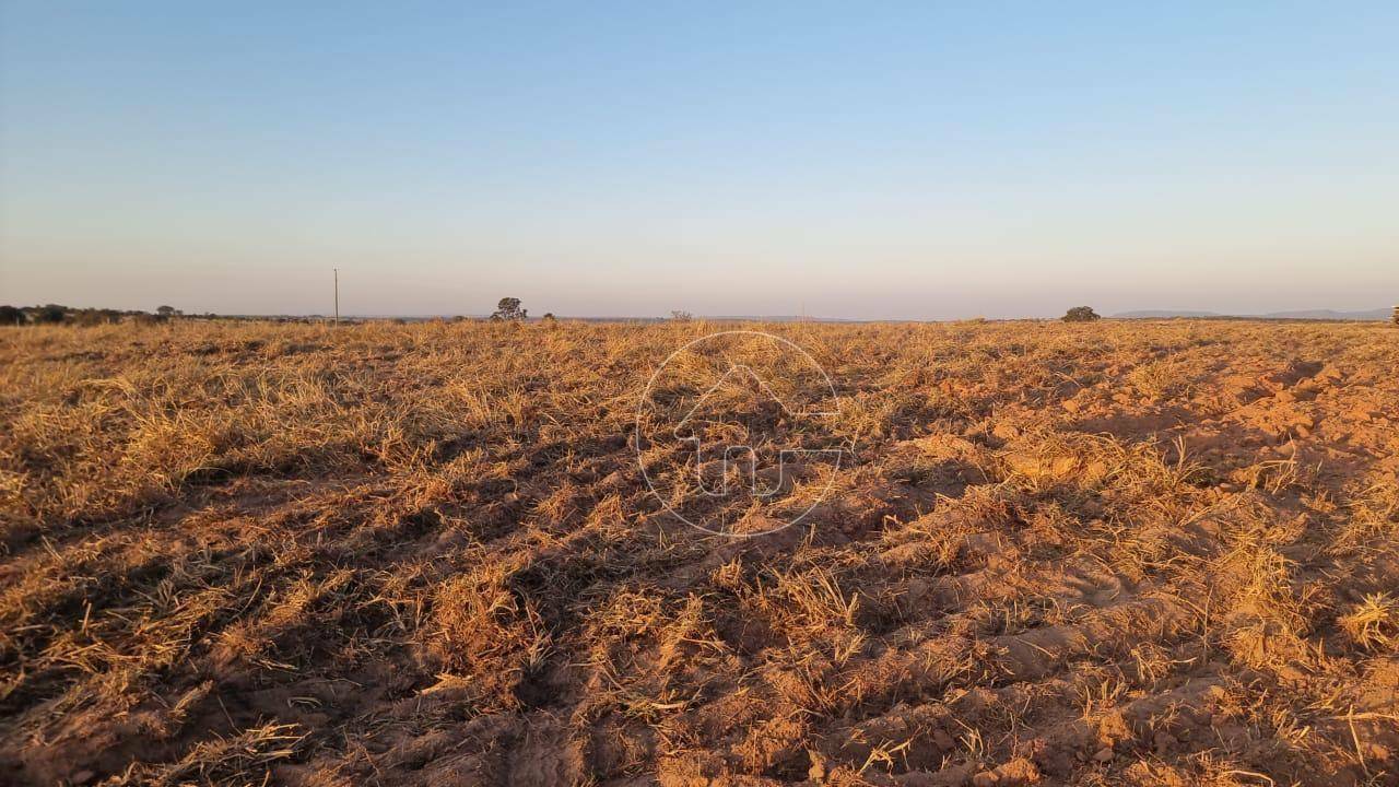 Fazenda à venda, 10800000M2 - Foto 5