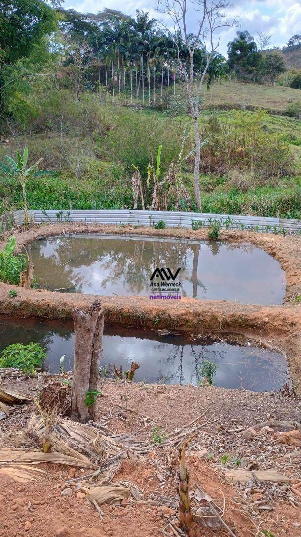 Chácara, 2 quartos, 2265 m² - Foto 2