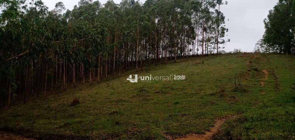 Fazenda à venda com 3 quartos, 1110000M2 - Foto 70