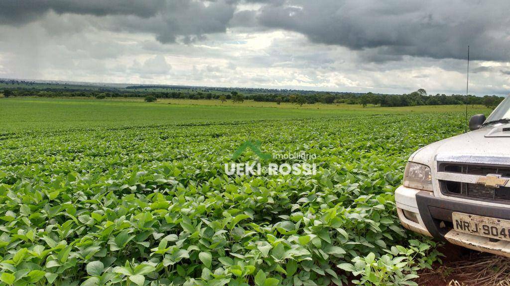 Fazenda à venda, 13840000M2 - Foto 11