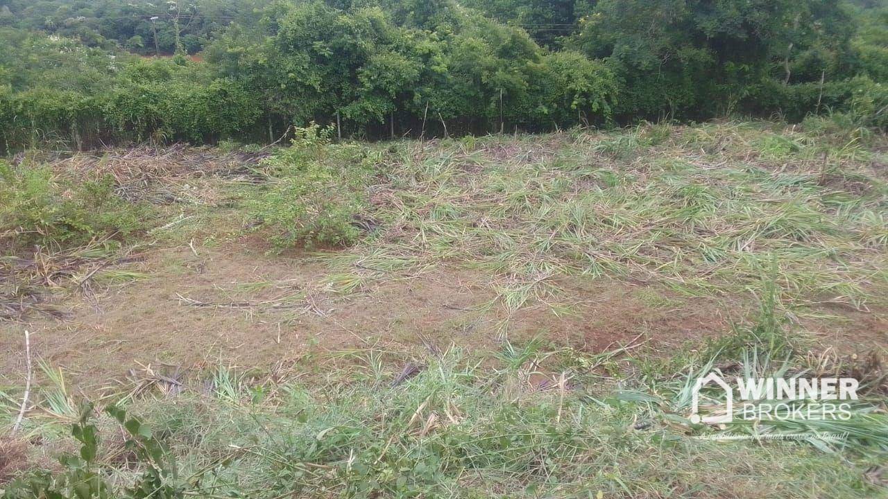 Chácara, 1850 m² - Foto 2