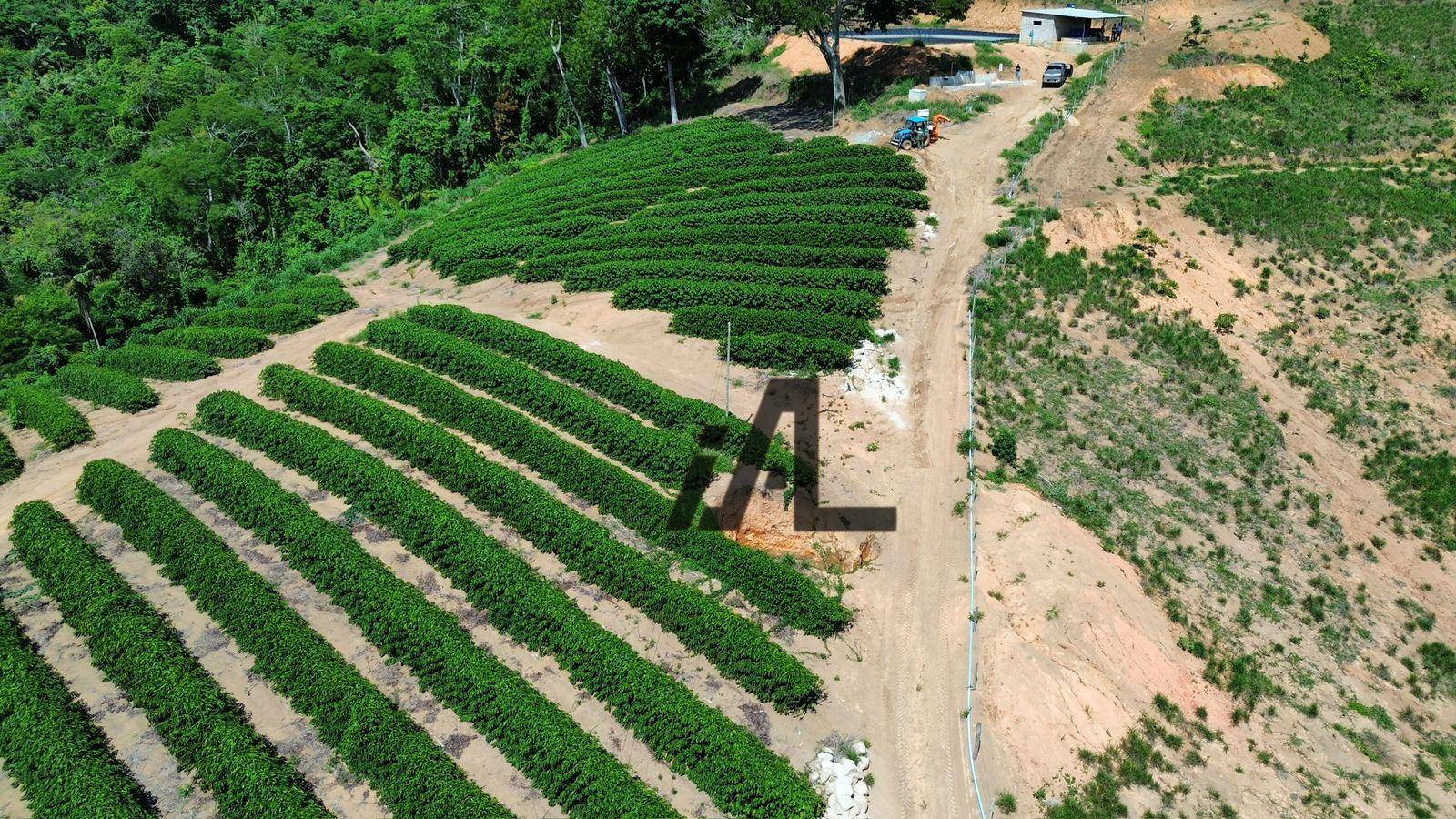 Fazenda à venda, 822800M2 - Foto 21