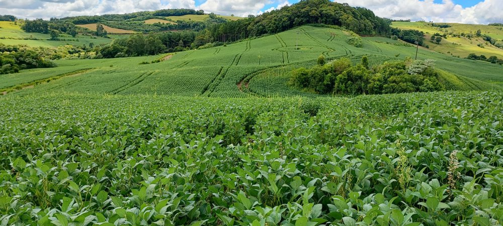 Fazenda à venda, 52m² - Foto 1