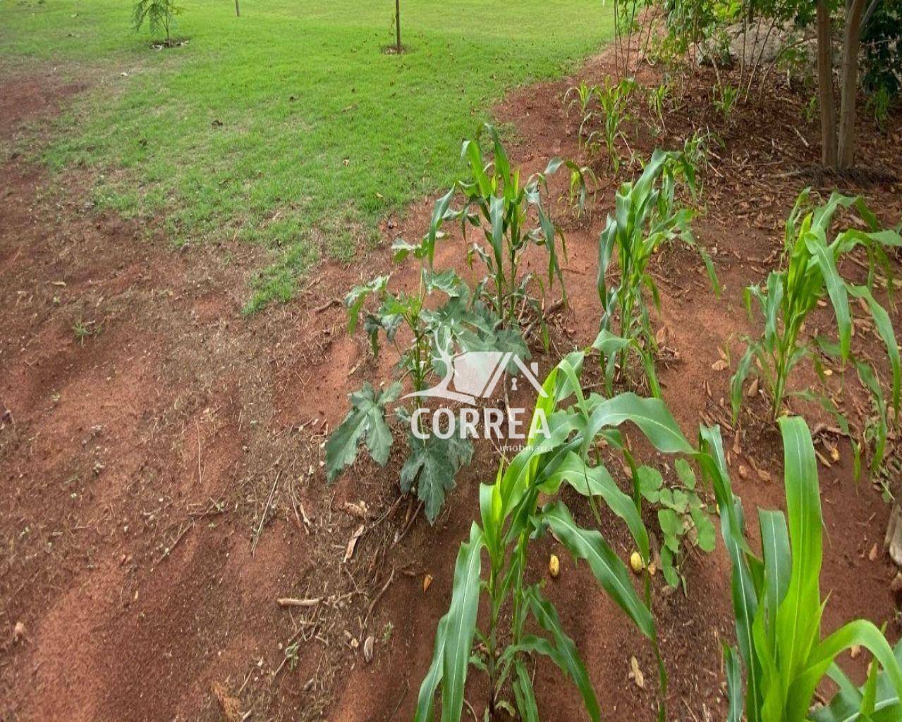 Loteamento e Condomínio à venda, 2000M2 - Foto 1