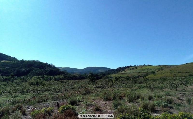 Fazenda à venda com 4 quartos, 120000m² - Foto 26