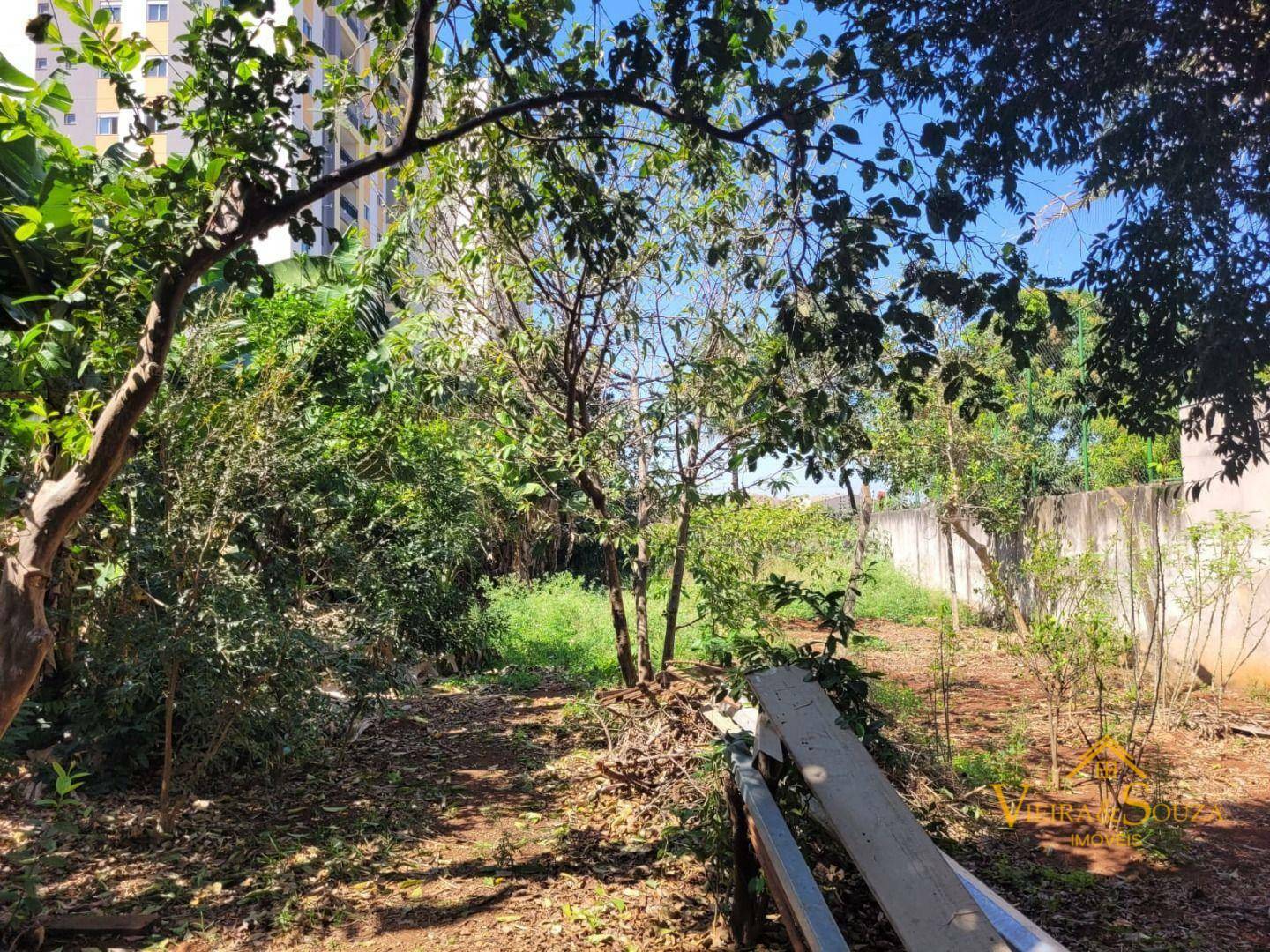 Chácara à venda com 3 quartos, 90m² - Foto 13