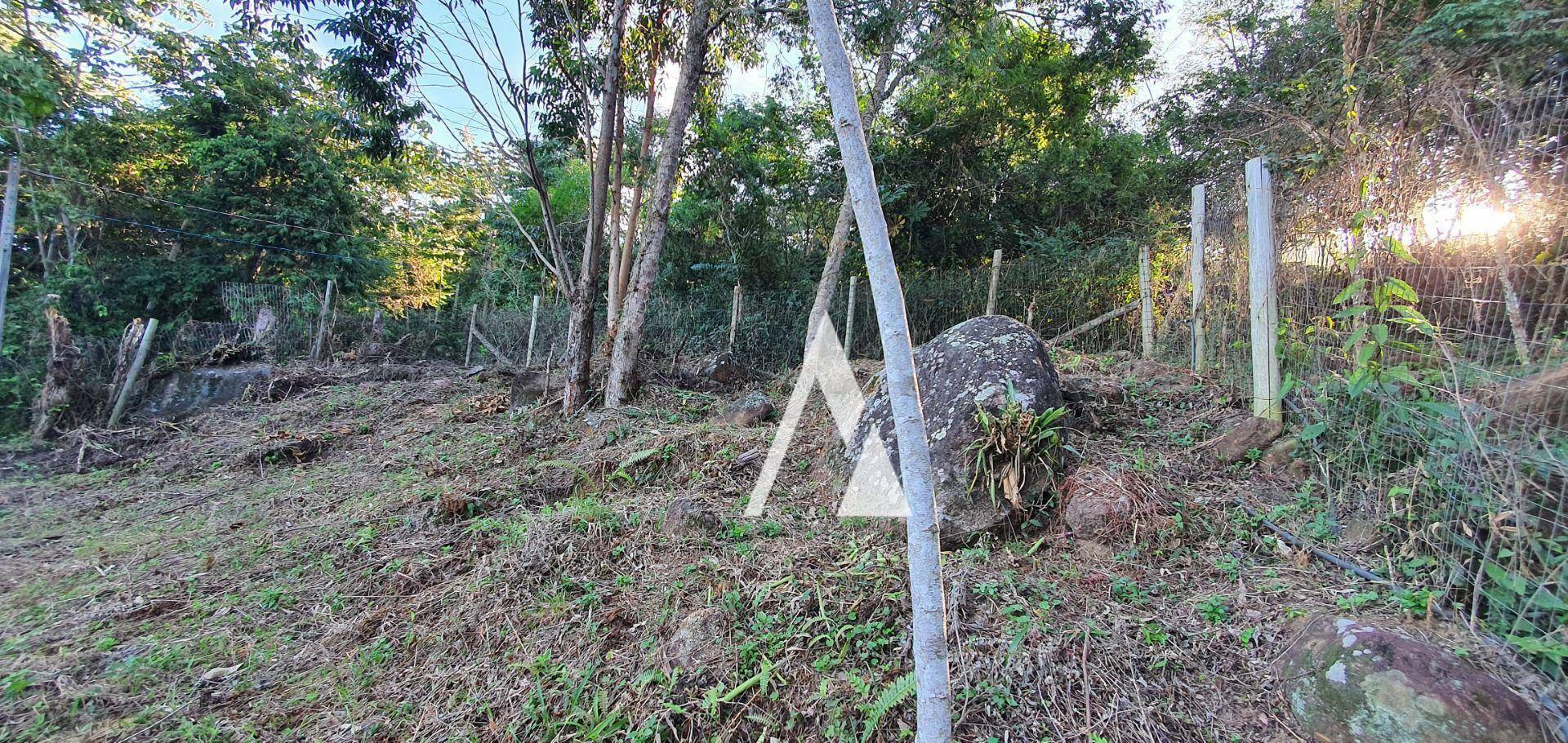 Terreno à venda, 393M2 - Foto 6